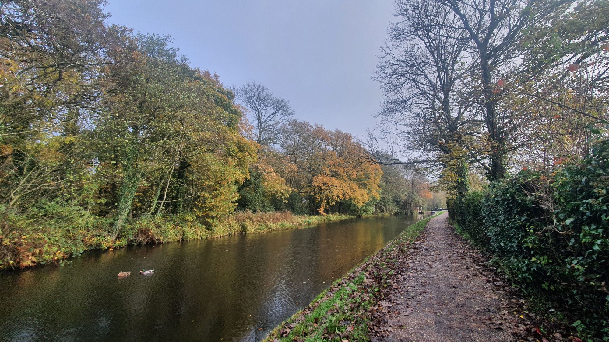 Canalside Homes 25/11/22