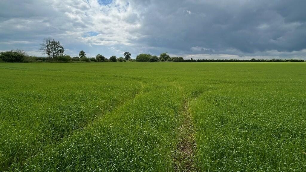 Guide Price £300,000