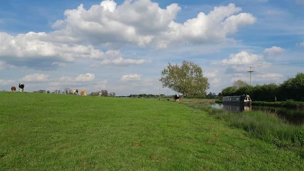 Offers in Region of £130,000